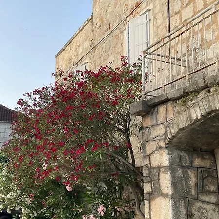 Apartment Lidija